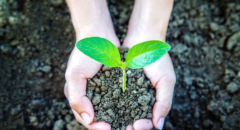 How Every Individual Can Make a Difference