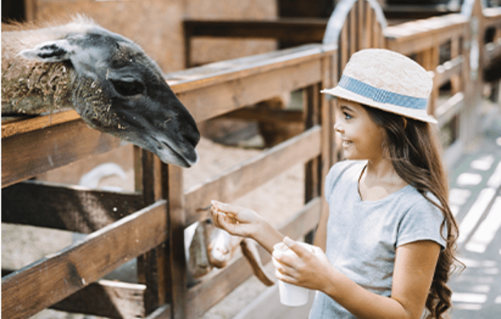How Spending Time in Nature LikesBoost Your Mood